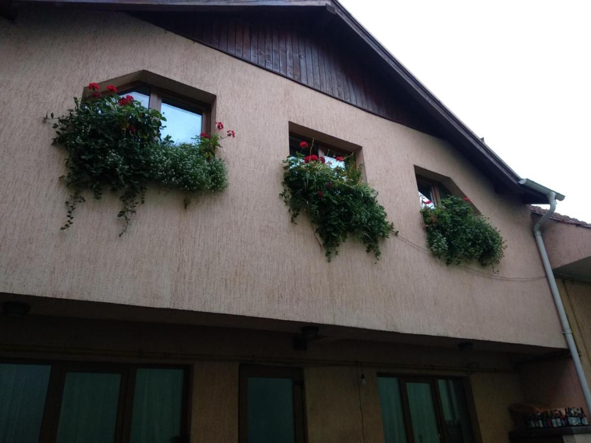 Casa Charlot Apartment Brasov Exterior photo